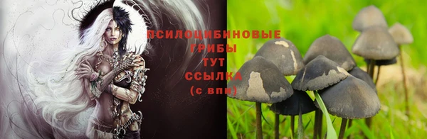 марки lsd Нефтекумск