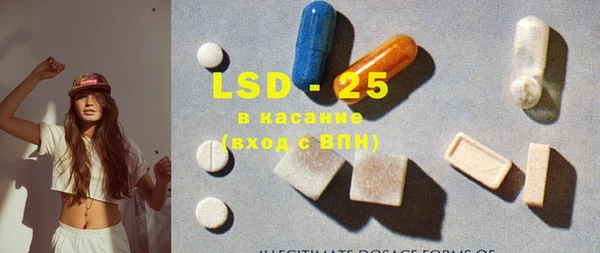 ECSTASY Богданович